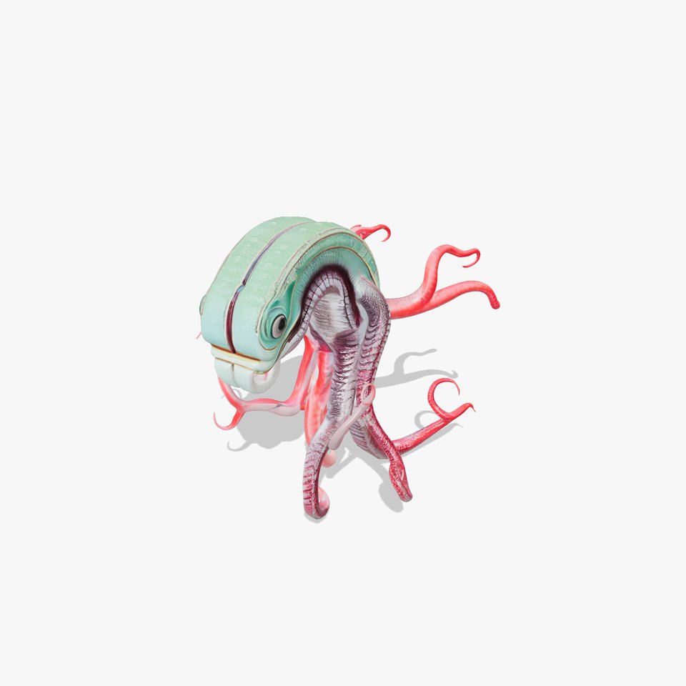 Aqua Tentacle Creature model pack